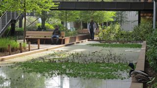 Toutes les villes interrogées ont procédé ou procèdent actuellement à un inventaire de la faune et de la flore au sein de leur commune. © Pascal Fayolle